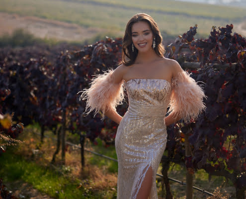 Dansçı Abiye Modelleri