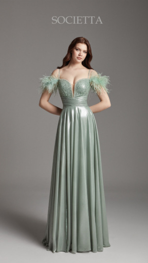 societta abiye 2026-3