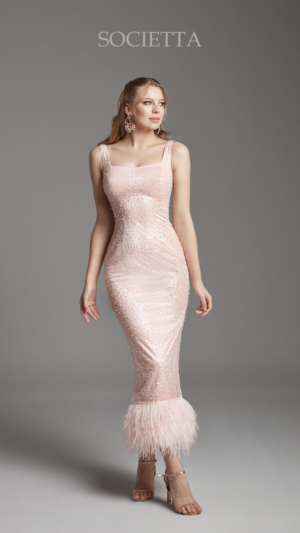 societta abiye 2068-3