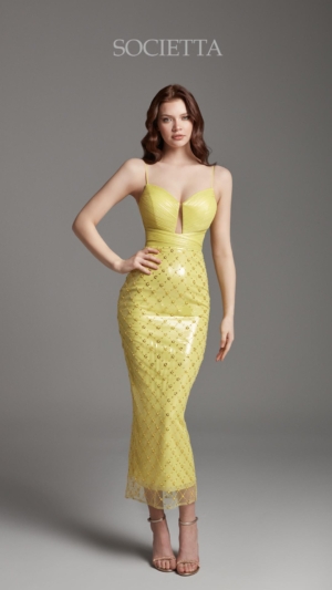 societta abiye 2070-3