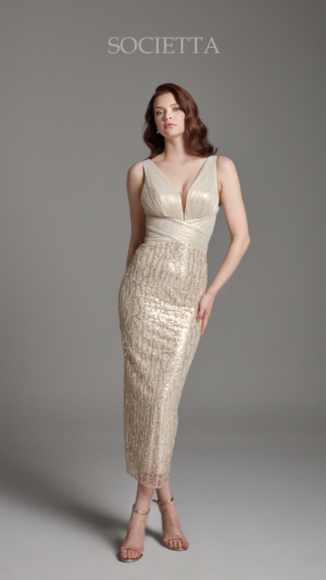 societta abiye 2074-3