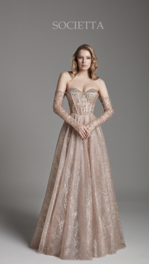 societta abiye 2076-3